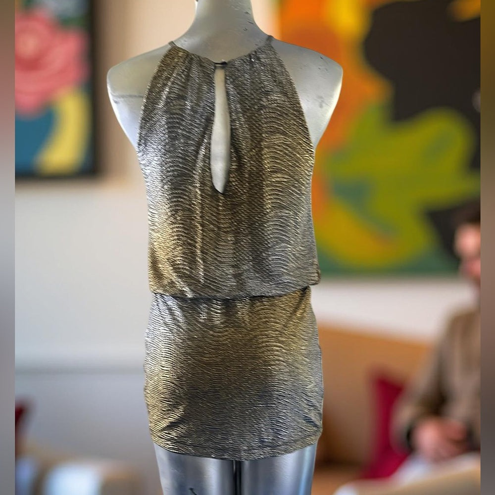 Elegant renee c Metallic Dress size Small