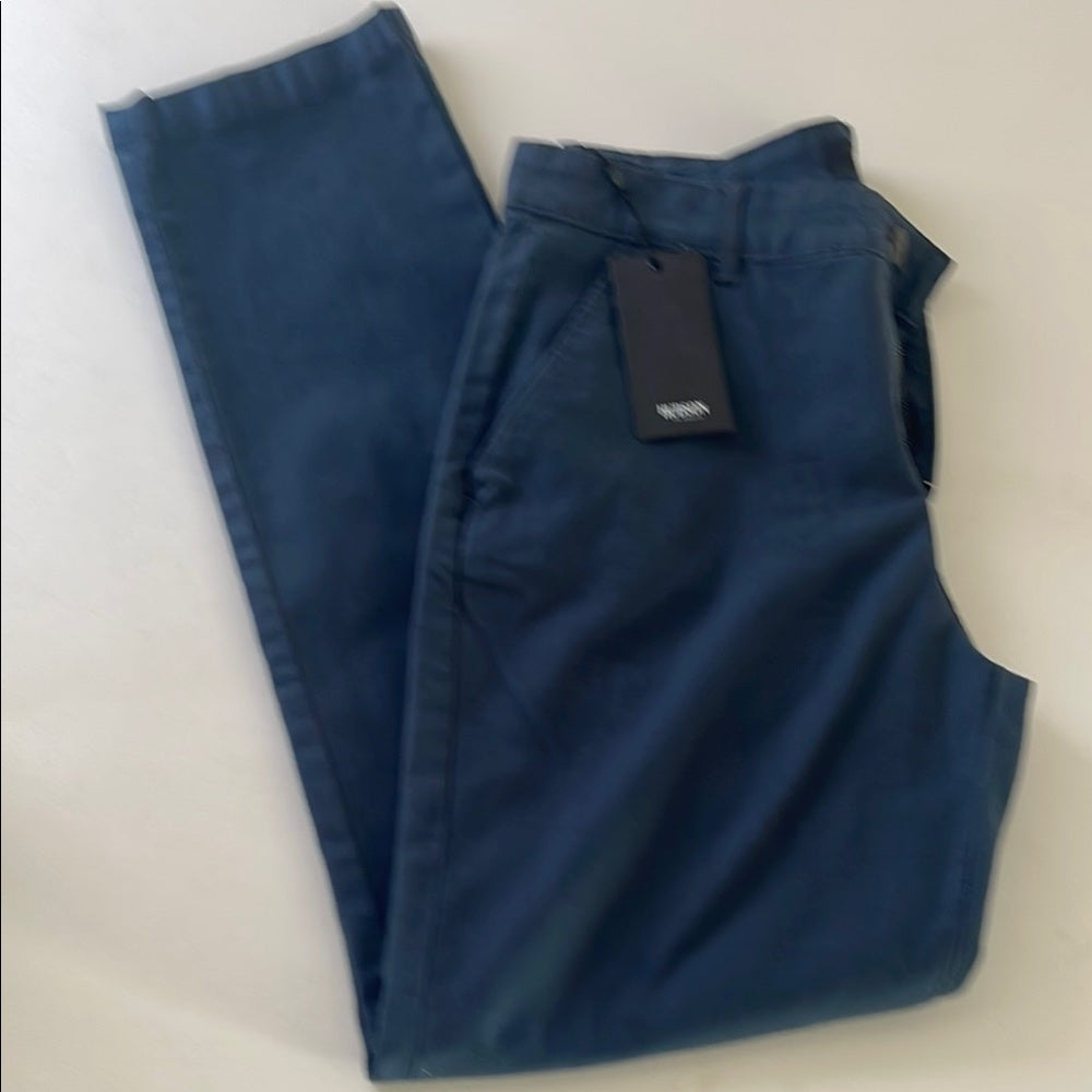 Hudson Chino Slim Fit size 33 Men's Navy Pants NWT