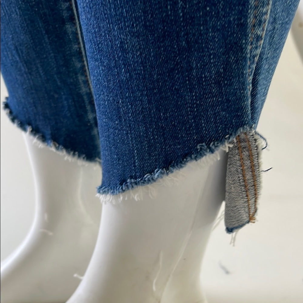 Madewell 10" Women's Skinny Blue Jeans size 23